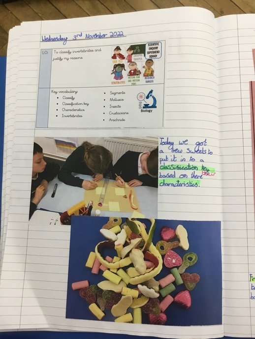 Children were given a variety of sweets to observe and
practice the skill of classifying. There were even animal shaped sweeties – Can
you spot them? 