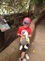 IMG_1642.jpg