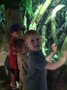 IMG_1631.jpg