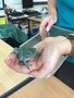zoolab 10.jpg