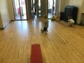 IMG_0813.JPG