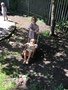 IMG_4584.JPG