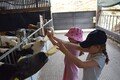 Year 2 Longdown Trip (13).JPG