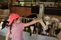 Year 2 Longdown Trip (17).JPG