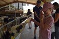 Year 2 Longdown Trip (18).JPG