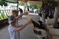Year 2 Longdown Trip (21).JPG