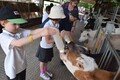 Year 2 Longdown Trip (23).JPG
