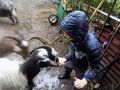 DSCN2609.JPG