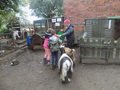 DSCN2681.JPG