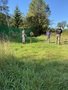 IMG_6450.JPEG
