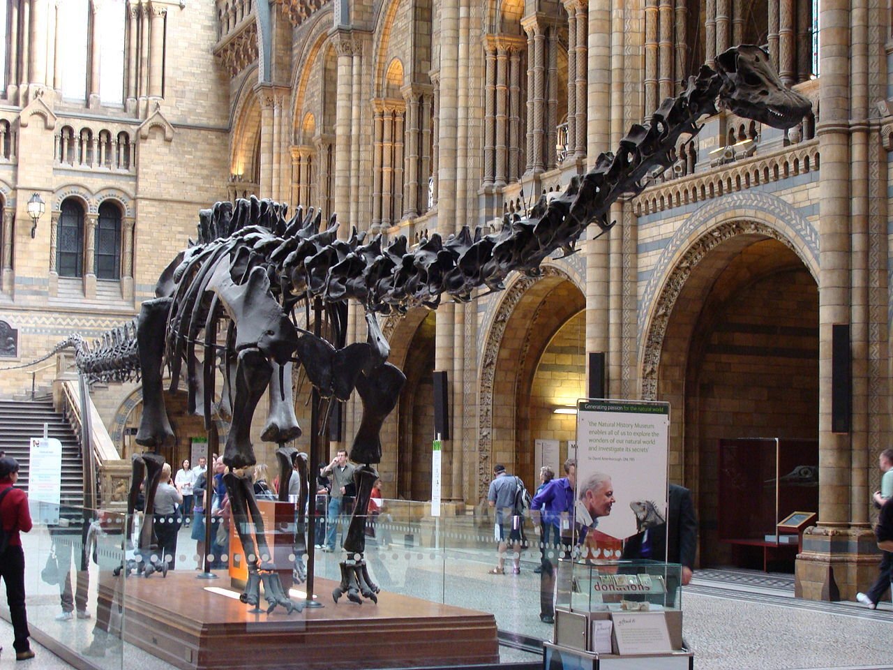 Dippy the Dinosaur Leaves London's Natural History Museum After 112 Years