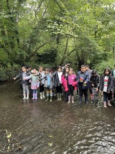 IMG_5974.jpeg
