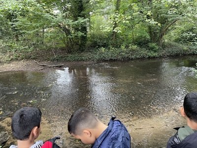 IMG_5969.jpeg