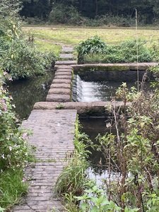IMG_5963.jpeg