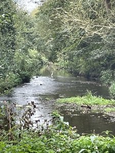 IMG_5958.jpeg