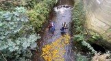 Duck Race 