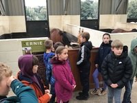 IMG_1613.JPG