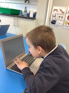 Developing desktop skills