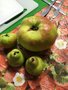 apples and pears.jpg