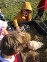 IMG_0941.jpeg