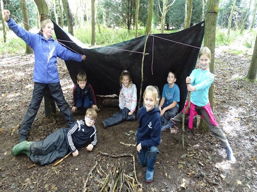 FOREST SCHOOL