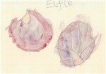 SCAN-0720-1.jpg