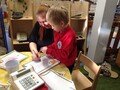 IMG_2646.jpg