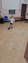 800x800 (72).png