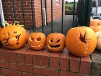 IMG_2435.JPG