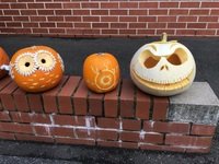 IMG_2445.JPG