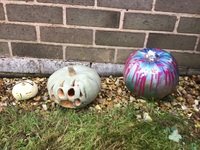IMG_2459.JPG
