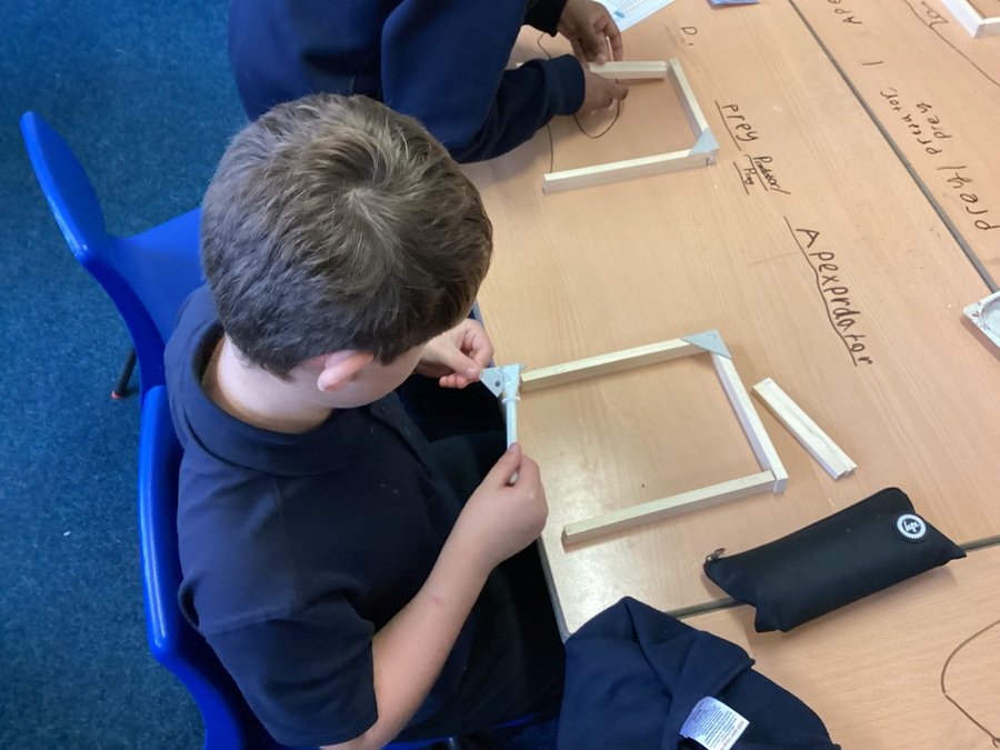 A Year 4 pupil making their frame for their wooden bridge - Autumn Term