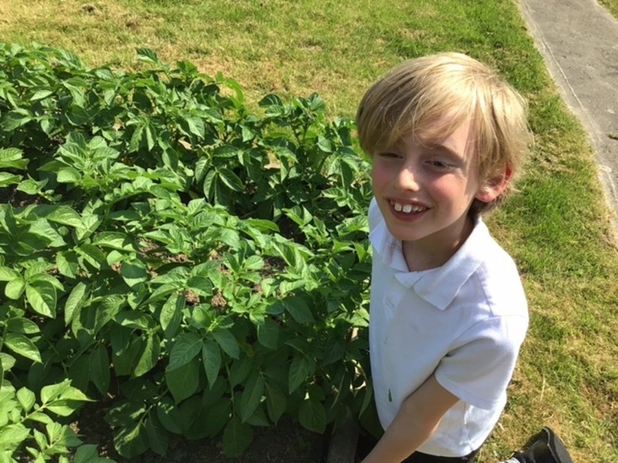 st-hilda-s-ce-primary-school-healthy-eating