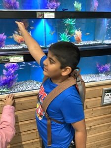 Exploring habitats 