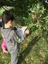 Swallows at Forest School (19).JPG