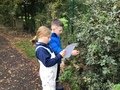 Swallows at Forest School (2).JPG