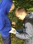 Swallows at Forest School (9).JPG