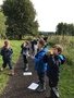 Swallows at Forest School (13).JPG