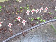 IMG_0135.JPG