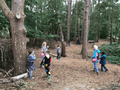 Ashdown Forest 5.png