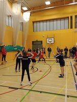 IMG_20231116_165459266_MFNR.jpg