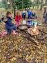 Swallows at Forest School (17).jpg