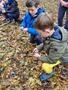 Swallows at Forest School (23).jpg