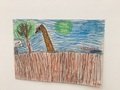 IMG_0075.jpeg