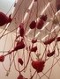 IMG_0086.jpeg