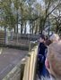 IMG_6869.JPEG