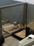 IMG_6871.JPEG