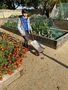 IMG_6876.JPEG