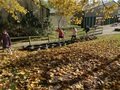 IMG_6890.JPEG