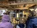 IMG_6901.JPEG